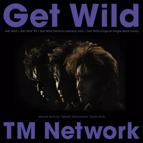 4/12発売 TM NETWORKの代表曲「Get Wild」が12インチ・アナログ
