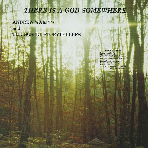 ANDREW WARTTS & THE GOSPEL STORYTELLERS / THERE IS A GOD SOMEWHERE(LP)