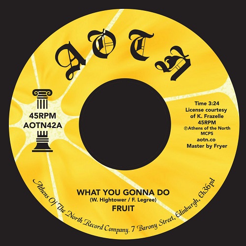FRUIT BAND / WHAT YOU GONNA DO(7'')