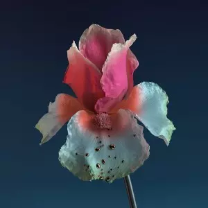 FLUME / TINY CITIES FEAT. BECK (LINDSTROM & PRINS THOMAS REMIX)