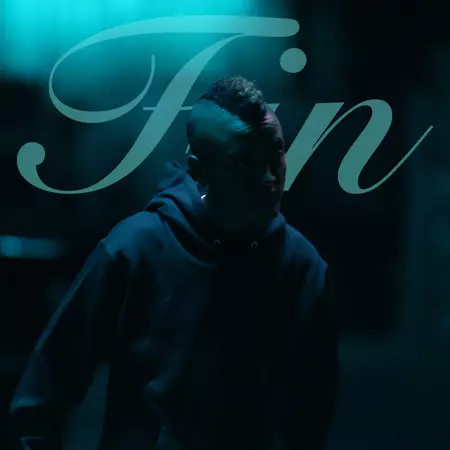 新品未開封 Syd 「Fin」 LP レコード FIN 