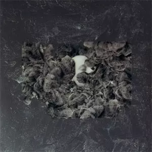 Does It Escape Again / afraid