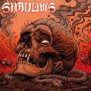 SHADOWS (PUNK) / illuminate