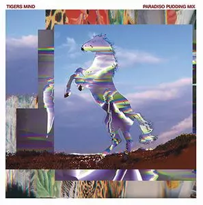 TIGERS MIND / タイガース・マインド / PARADISO PUDDING MIX