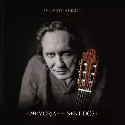 MEMORIA DE LOS SENTIDOS/VICENTE AMIGO/ビセンテ・アミーゴ/LP｜LATIN