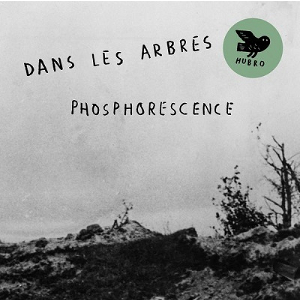 DANS LES ARBRES / ダン・レザーブル / Phosphorescence