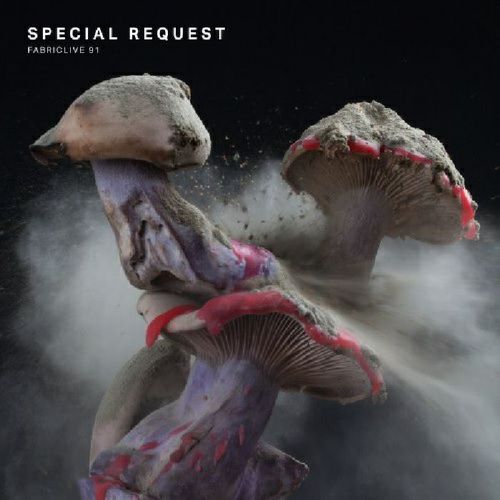 SPECIAL REQUEST (CLUB) / スペシャル・リクエスト / FABRICLIVE 91