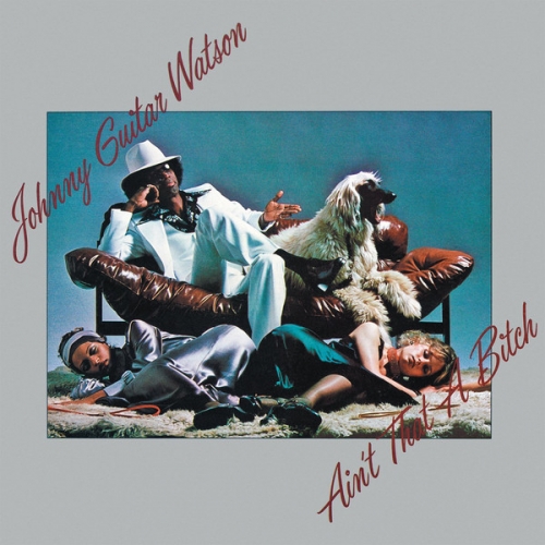 JOHNNY GUITAR WATSON / ジョニー・ギター・ワトスン / AIN'T THAT A BITCH (LP)