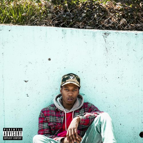 COUSIN STIZZ / SUFFOLK COUNTRY "LP"