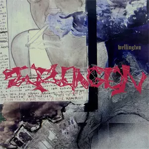 WELLINGTON (PUNK) / WELLINGTON