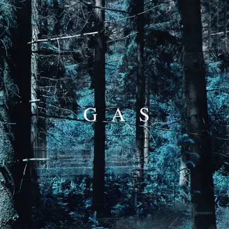 GAS (WOLFGANG VOIGT) / NARKOPOP