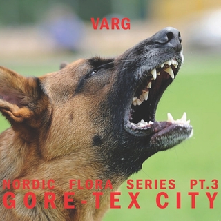 VARG(TECHNO) / NORDIC FLORA SERIES PT.3: GORE-TEX CITY
