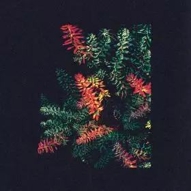 DARK SKY / ダークスカイ (DANCE) / OTHONA