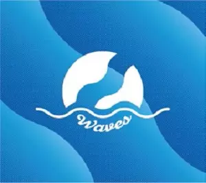 【4/29まで】yogee new waves ジャケット WAVES/Yogee New Waves｜日本のロック｜ディスクユニオン