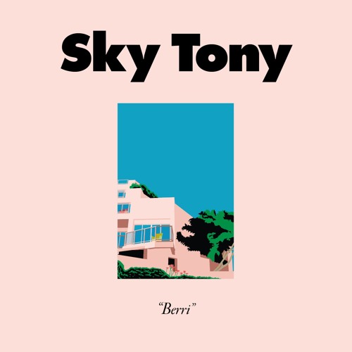 SKY TONY / BERRI EP