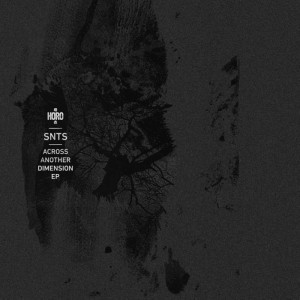 SNTS / ACROSS ANOTHER DIMENSION EP