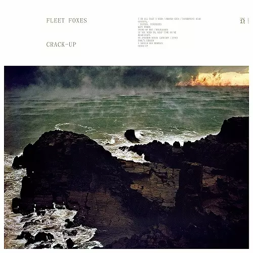 FLEET FOXES / フリート・フォクシーズ / CRACK-UP (2LP)
