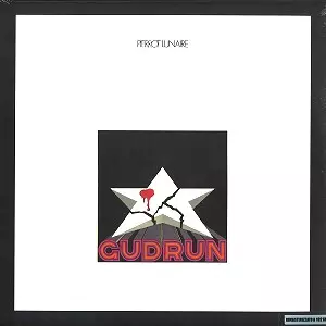 PIERROT LUNAIRE / ピエロ・リュネール / GUDRUN: ARCHIVIO DEL SUONO RIMASTERIZZATO A 192KHZ 24BIT - 180g LIMITED VINYL/24/192 REMASTER