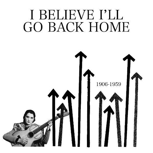 V.A. (I BELIEVE I'LL GO BACK HOME) / I BELIEVE I'LL GO BACK HOME(LP)