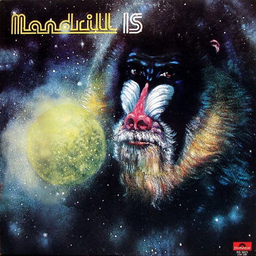 MANDRILL / マンドリル / MANDRILL IS(LP)