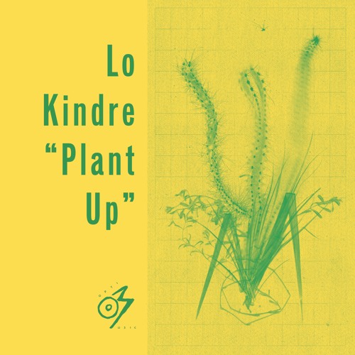 LO KINDRE / PLANT UP