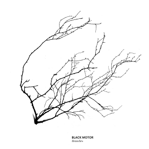 BLACK MOTOR / ブラック・モーター / Branches