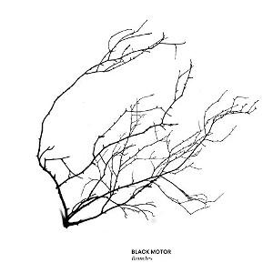BLACK MOTOR / ブラック・モーター / Branches(LP)