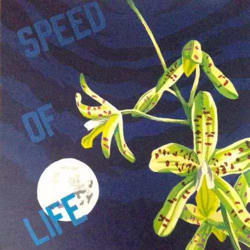 K15 / SPEED OF LIFE