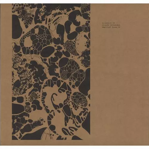 RICARDO VILLALOBOS / リカルド・ヴィラロボス / EMPIRICAL HOUSE LP