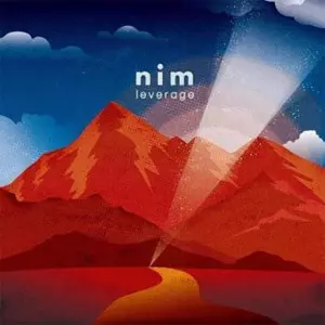 nim / leverage