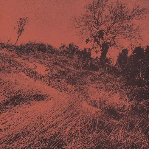 ザ・ディランII / きのうの思い出に別れをつげるんだもの