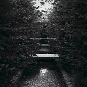 Shin-ichiro Mochizuki / 望月慎一郎 / Visionary / ヴィジョナリー