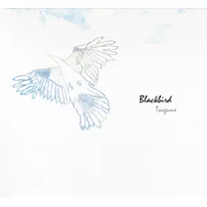 Tsugume / つぐめ / Blackbird / ブラックバード