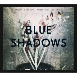 JIRI BARTA / イルジー・バールタ / Blue Shadows