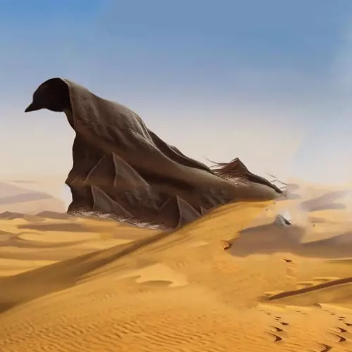 TORN HAWK / トーン・ホーク / MEN WITH NO MEMORY