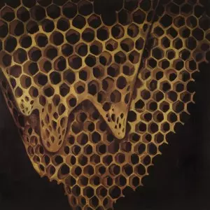 TELEFON TEL AVIV / テレフォン・テル・アビブ / MAP OF WHAT IS EFFORTLESS