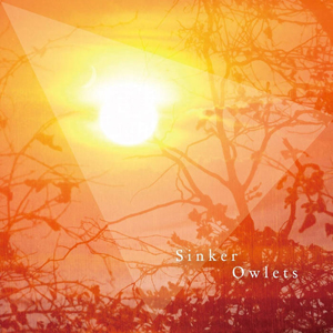 Owlets / Sinker  / Split