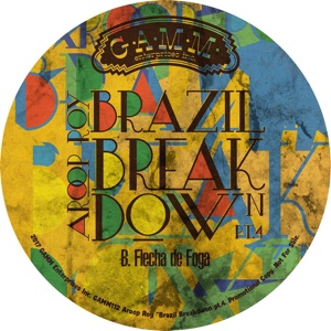 AROOP ROY / BRAZIL BREAKDOWN PT.4