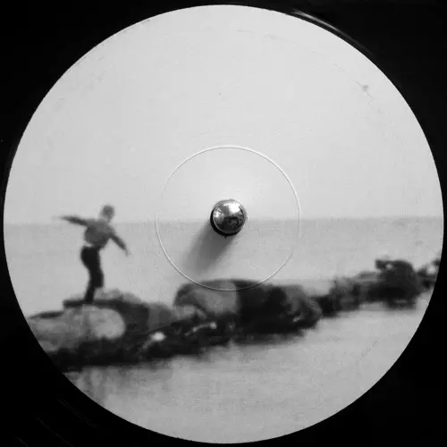 その他 Dwig Forget The Pink Elephant 2LP 12\" Dwig – Forget The Pink Elephant – 2 x Vinyl (180 g, 12