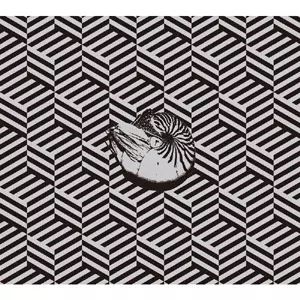 zArAme / SOSITE  スプリット 7㌅レコード zArAme / SOSITE スプリット7インチレコード - メルカリ