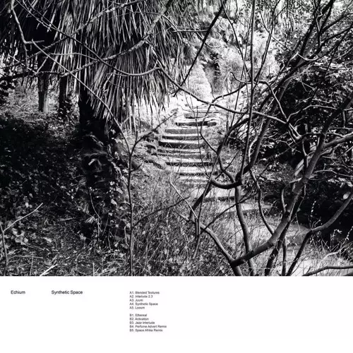 ECHIUM / SYNTHETIC SPACE