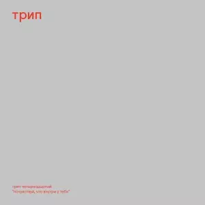 NINA KRAVIZ / ニーナ・クラヴィッツ / POCHUVSTVUI