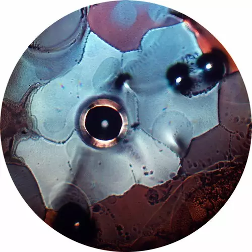 ATSUSHI YANO / ROTTIE BITES EP