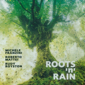 MICHELE FRANZINI / ミケーレ・フランチーニ / Roots 'n' Rain