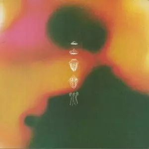 ALBRECHT LA'BROOY / ESCAPE VELOCITY