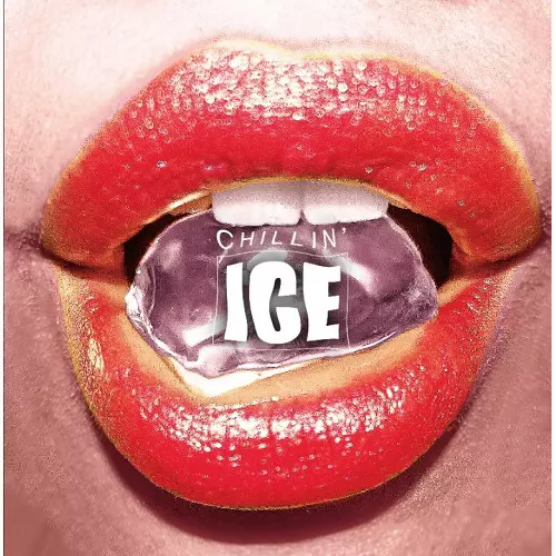 DJ MURO / CHILLIN' ICE シュリンク付 美品 mixcd DJ MURO / CHILLIN' ICE シュリンク付 美品 mixcd