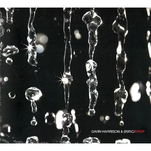 GAVIN HARRISON / 05RIC / DROP