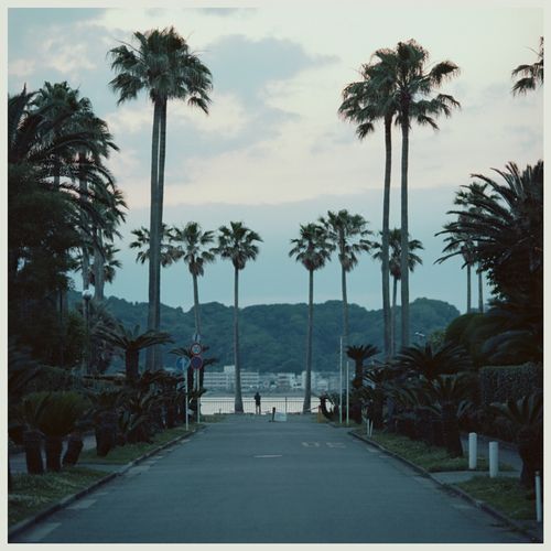 SUBMERSE / ARE YOU ANYWHERE "LP+ DOWNLOAD"