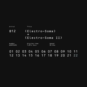 B12 / ELECTRO-SOMA I + II ANTHOLOGY (国内流通仕様盤)