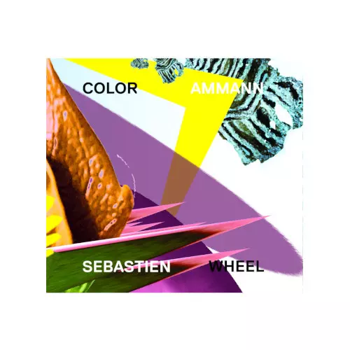 SEBASTIEN AMMANN / セバスチャン・アマン / Color Wheel